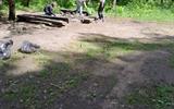 IMG-1bee82887b17076e3d0dda6bc8176ad1-V_1_11zon